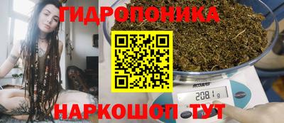 винт Донецк