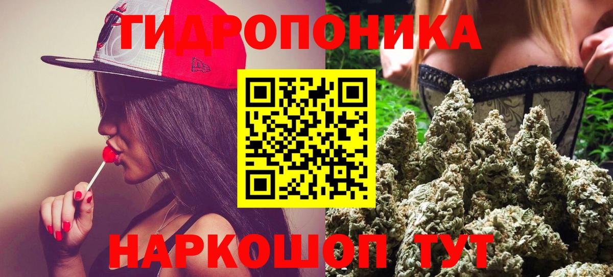 Каннабис ГИДРОПОН Луга